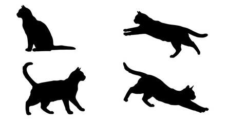Collection of four black cat silhouettes in various dynamic poses on a white background