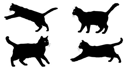 Four black cat silhouettes in dynamic poses showing playful movement and agility on a white background