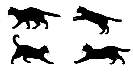 Four distinct black cat silhouettes showcasing different dynamic poses and movements on a white background