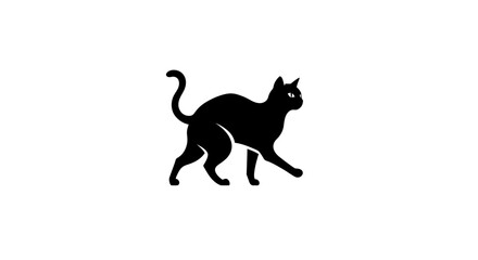 Silhouette of a black cat with a raised tail and alert eyes walking on a white background