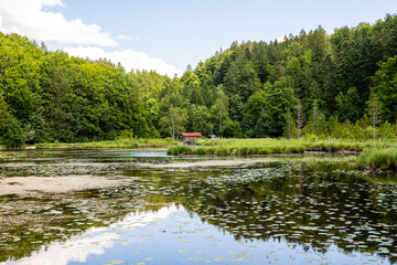 Small wooden cottage in the lake with waterlilies surrounden by forestes