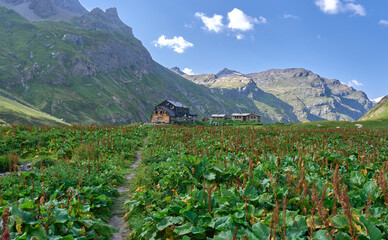 Mountain landscape with a refuge in Gran Paradiso national Park in Italy. Destination for winter and summer mountain climbers, skiers and mountain lovers. Dense green vegetation all around.