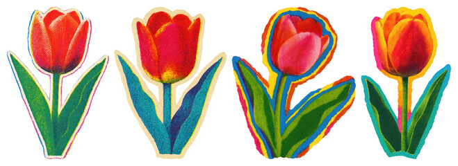 PNG Vibrant tulip floral illustration, element set on transparent background