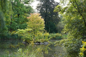 Der Stadtpark Steglitz in Berlin in der Übergangszeit von Sommer zu Herbst