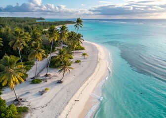 Aerial View of Tropical Beach with Turquoise Water