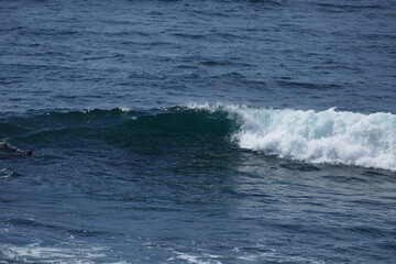 Fototapeta premium Pacific shore with white wave and blue ocean