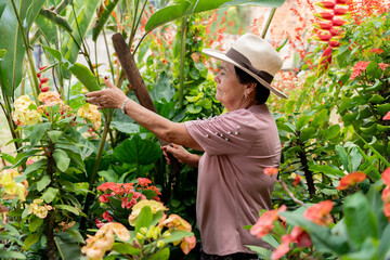 Old lady cutting weeds in countryside garden