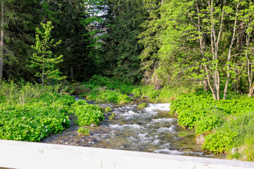Zakopane, góry, szczyty,szczyt, krajobraz, chmury, gęsia szyja, wspinaczka, widok, las, schronisko © Estera