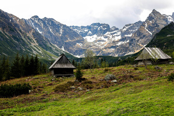 Zakopane, góry, szczyty,szczyt, krajobraz, chmury, czarny staw gąsienicowy, hala gąsienicowa, wspinaczka, widok, las, schronisko © Estera