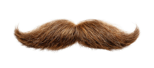 Brown Mustache PNG Transparent, Realistic Hair Moustache Isolated Clipart