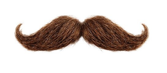 Brown Mustache Isolated on Transparent Background, Realistic Hair Shape PNG