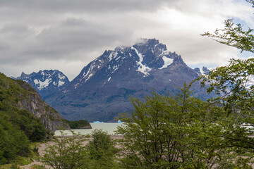 View of the mountain landscape in the national park Torres del Paine, Patagonia, Chile, South America. Vegetation by the path to the lake Grey