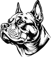 Stylized Pit Bull Head in Black and White with Cropped Ears, Strong Jawline, and Focused Expression in Bold Dog Illustration