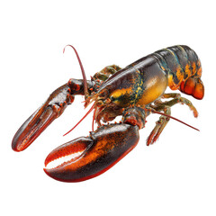 striking lobster positioned, isolated on transparent background