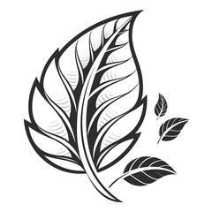 Obraz premium Elegant leaf with veins and small leaves