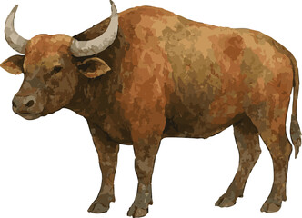 Watercolor vector illustration of a forrest buffalo