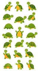 Cute cartoon turtles in various poses