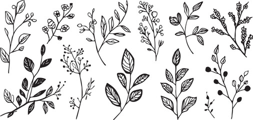 Fototapeta premium Elegant Black and White Floral Design Collection Botanical Illustration for Wedding Invitations Stationery and Creative Projects Featuring Leaves Berries and Delicate Branches