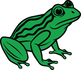 frog isolated on white