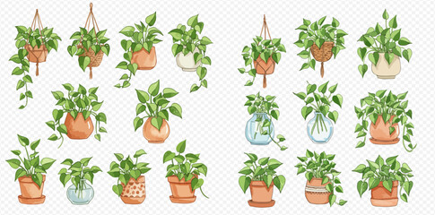 A collection of illustrated green vining houseplants in various decorative pots, hanging baskets, and glass vases.