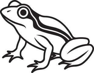 frog on a white background