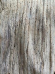 Fototapeta premium A close-up of the texture of a dried banana leaf, showing its natural pattern, earthy color, and rough surface. Often used in crafts, decoration, and traditional purposes
