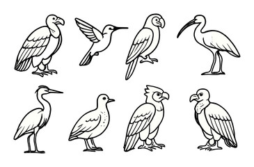 Fototapeta premium Diverse bird silhouettes: vulture, hummingbird, ibis, cockatoo, sparrow, heron