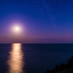 Moonlit ocean panorama
