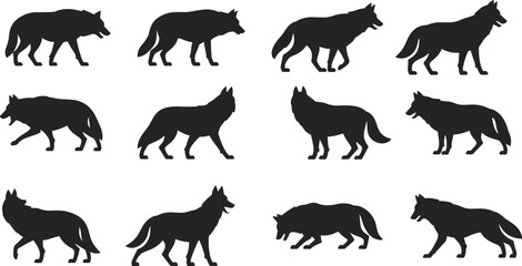 Vector wolf silhouette collection, black wild animal icons in various walking and standing poses, perfect for wildlife, nature designs, forest themes, animal graphics