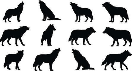Wolf silhouette vector collection, different wild wolf poses howling, standing, walking, sitting, black animal shapes for nature, wildlife, forest design
