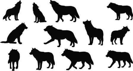 Wolf silhouette collection, various poses of wild wolves, sitting, howling, walking, standing, vector design, black animal shape, wildlife graphic set