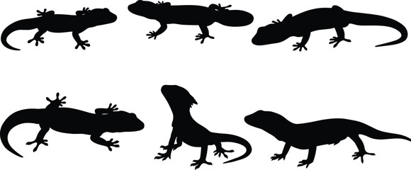 Silhouette vector illustration of lizards in multiple poses, reptile animal design for nature, wildlife, zoo themes, exotic creature clipart set