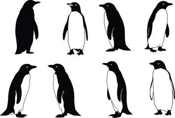 Naklejka premium Vector illustration of penguins in various poses, standing and walking, black and white silhouettes, perfect for wildlife, cold climate, nature, and arctic design.