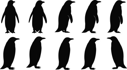 Fototapeta premium Silhouette collection of standing penguins in various positions, black vector illustration for wildlife, cold climate, arctic animal, design, educational, and graphic use.
