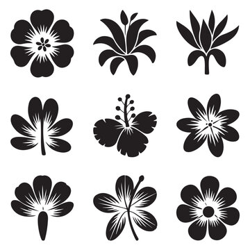 Set Tropical flowers black silhouettes. Hand drawn. Vector black silhouette. with white background