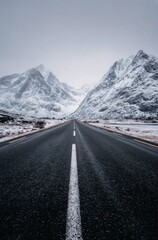 Naklejka premium WINTER SEASON