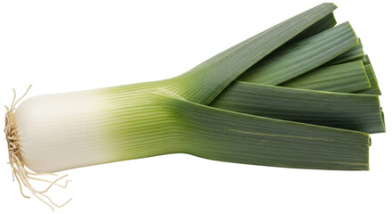 Isolated Leek
