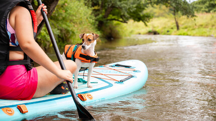 Jack Russell Terrier dog in life jacket on SUP paddleboard with owner on river