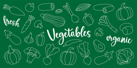 Vegetables outline set. Natural vegetarian foods. Healthy eating. Carrot, tomato, garlic bulb, mushroom, bell pepper, avocado, pumpkin, broccoli