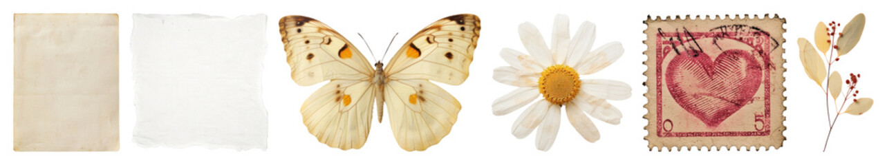 Obraz premium Vintage nature-inspired decorative elements