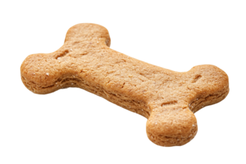 Single dog bone treat isolated on transparent background