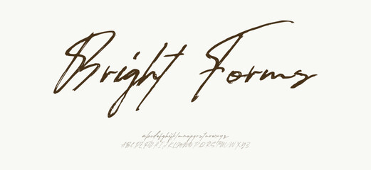 Signature Elegant Branding Typeface. Handwritten Script Editable Text Effect Template . vector illustration
