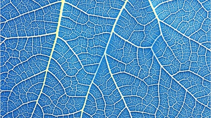 Naklejka premium Stunning Blue Leaf Vein Texture Macro Photography