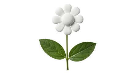 Isolated Flower Made of Pills