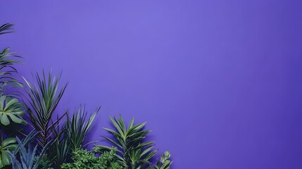 Vibrant Purple Background with Lush Green Tropical Plants
