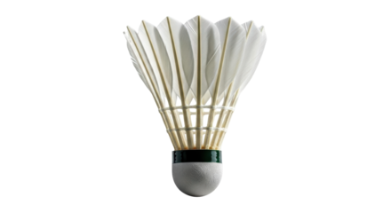 Isolated Badminton Shuttlecock
