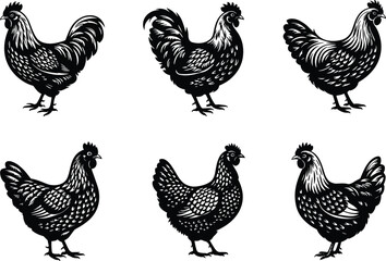 Six Black And White Silhouettes Of Roosters And Hens On White chicken poultry