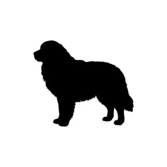 Dog great pyrenees silhouette vector flat illustration design.