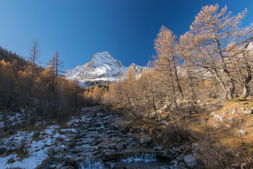 Alpe Veglia e Monte Leone in autunno con foliage