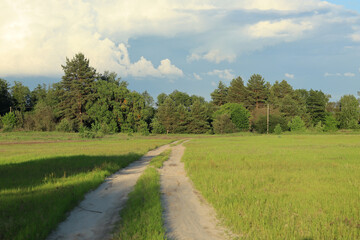 A sandy road through a green meadow, on the horizon a small pine forest with storm clouds rising above it.